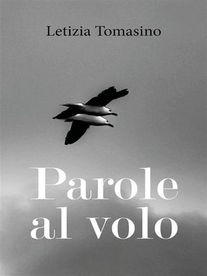 cover image of Parole al volo
